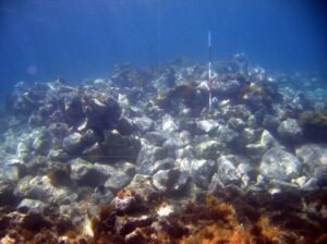 Fig. 2. Capo Rizzuto, Torre Nuova. Stone material possibly related to submerged structures (photo by Salvatore Medaglia).